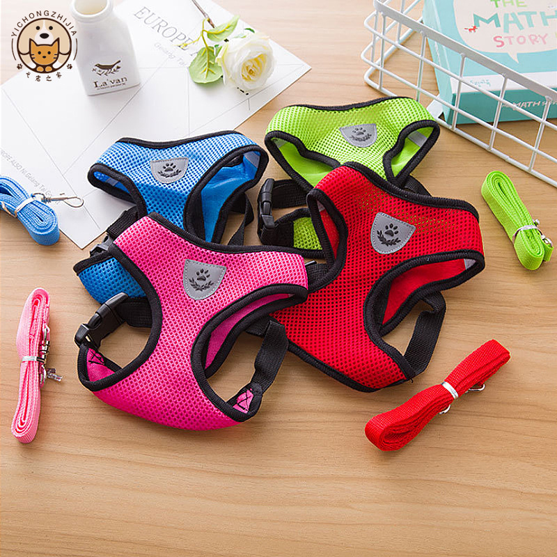 Mini Trampoline Spring - Hot summer small dog pet chest