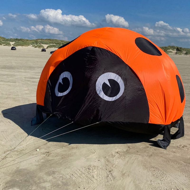 Ladybird kite soft kites for k – Kite Easy Fly Kids recenzja i cena