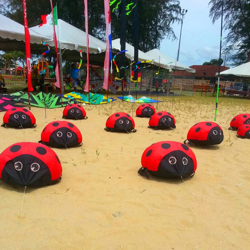 Ladybird kite soft kites for k – Kite Easy Fly Kids recenzja i cena