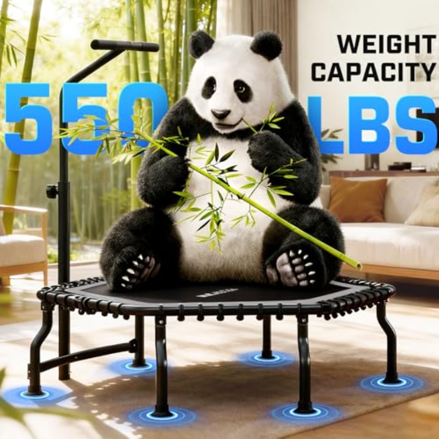 Indoor Mini Trampoline 50'' fo – Mini Trampoline Spring recenzja i cena