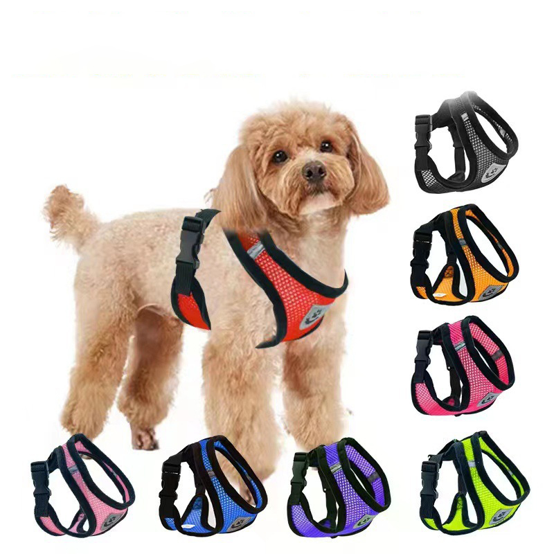 Hot summer small dog pet chest – Mini Trampoline Spring recenzja i cena