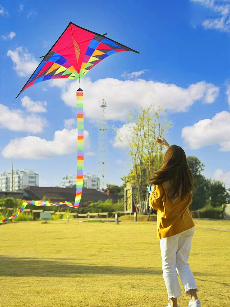 Large delta kite for kids kite – Kite Easy Fly Kids recenzja i cena