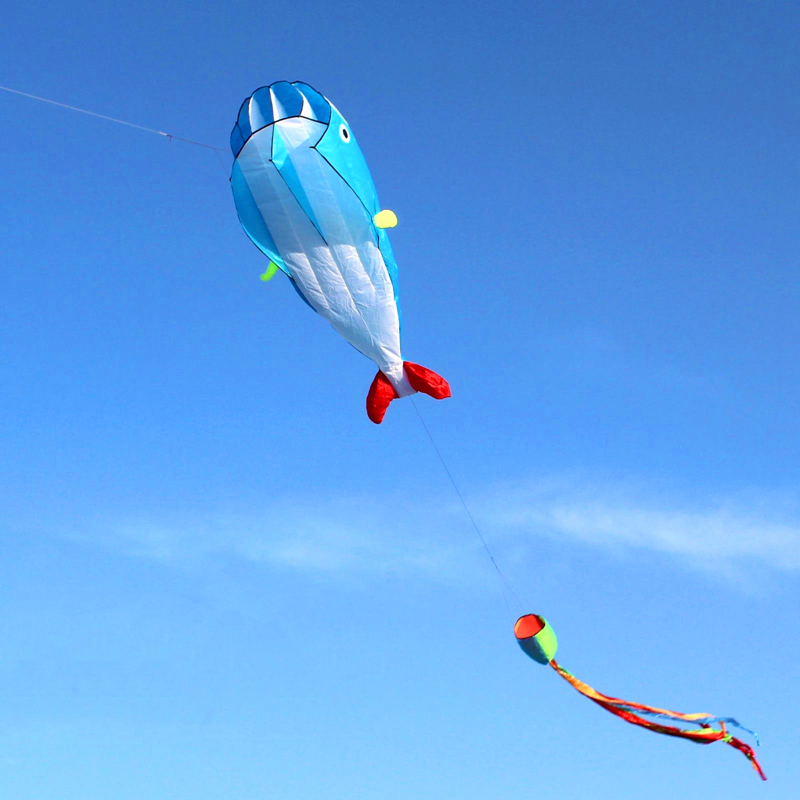 Large soft kite dolphin kite n – Kite Easy Fly Kids recenzja i cena