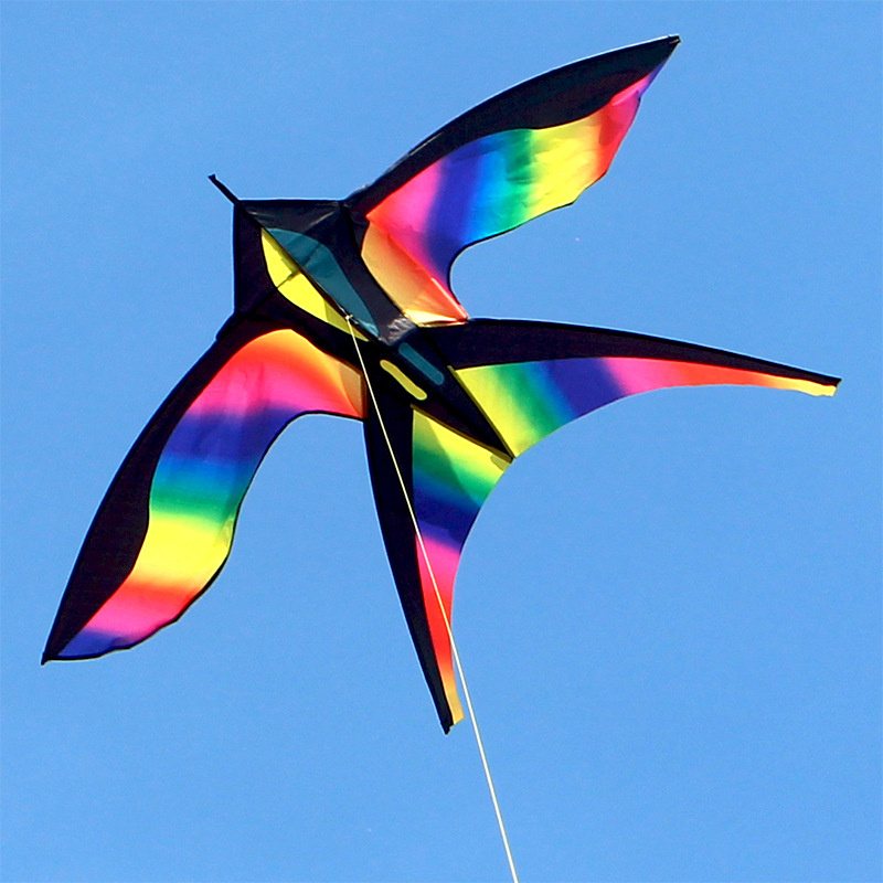 1.7m Easy to Fly Colorful Rain – Kite Easy Fly Kids recenzja i cena