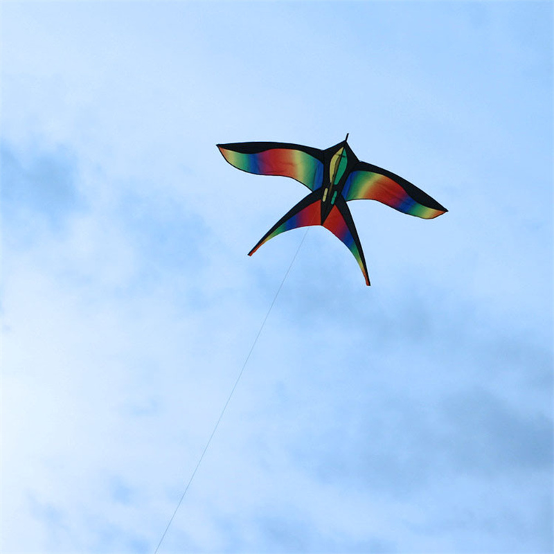 1.7m Easy to Fly Colorful Rain – Kite Easy Fly Kids recenzja i cena