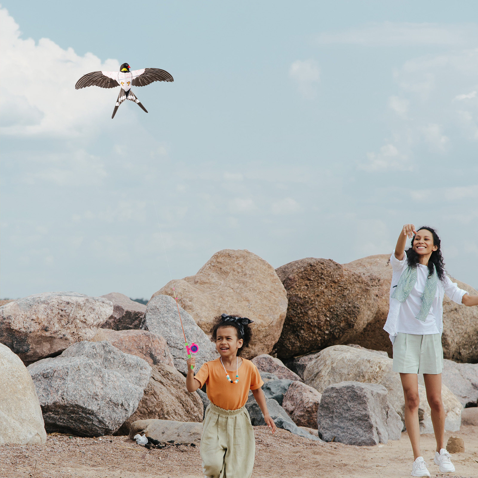 Fishing Pole Swallow Bird Kite – Kite Easy Fly Kids recenzja i cena