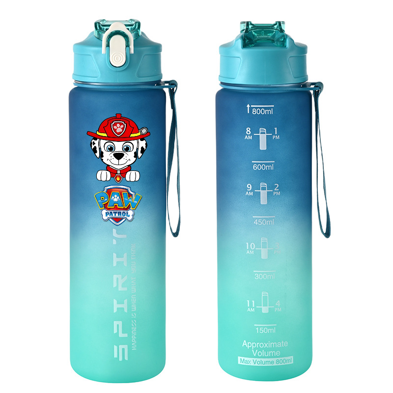 800ml PAW Patrol Sports Water  – Kids Outdoor Kitchen recenzja i cena