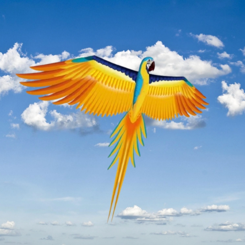 Free shipping parrot kites fly – Kite Easy Fly Kids recenzja i cena