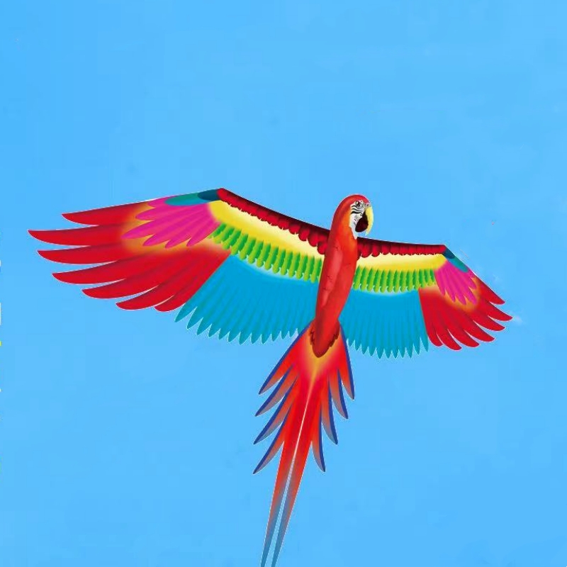 Free shipping parrot kites fly – Kite Easy Fly Kids recenzja i cena