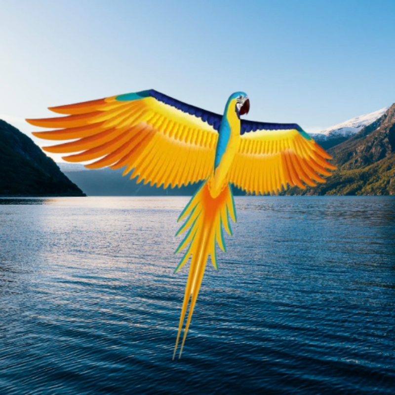 Free shipping parrot kites fly – Kite Easy Fly Kids recenzja i cena